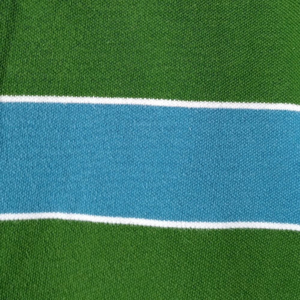 Arizona Youth Striped Short Sleeve Polo Shirt. Size L /G (14-16). Blue, Green - Picture 11 of 13